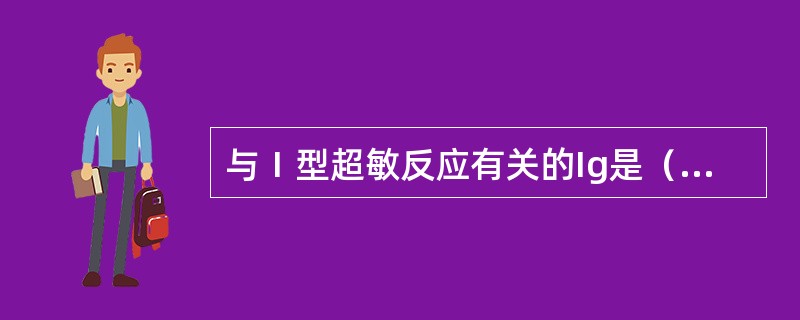 与Ⅰ型超敏反应有关的Ig是（　）。