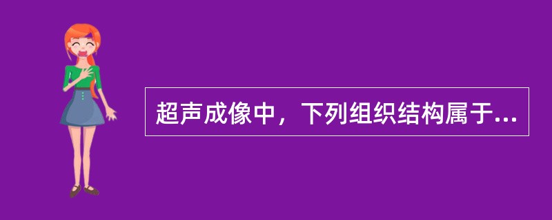 超声成像中，下列组织结构属于典型低回声组织的是（　）。