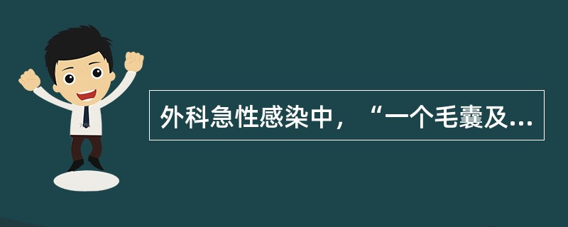 外科急性感染中，“一个毛囊及其所属皮脂腺的急性化脓性感染，常扩展到皮下组织”属于（　）。