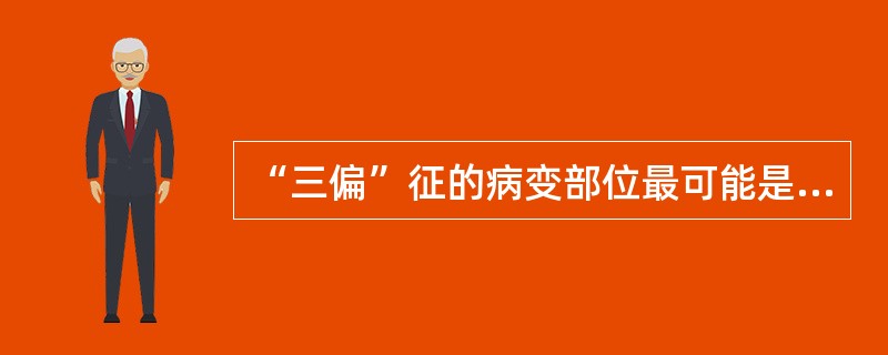 “三偏”征的病变部位最可能是（　　）。