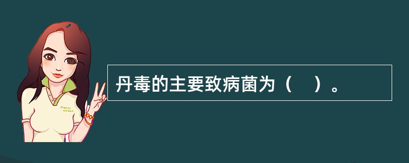 丹毒的主要致病菌为（　）。