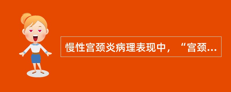 慢性宫颈炎病理表现中，“宫颈管黏膜增生、充血水肿”属于（　）。