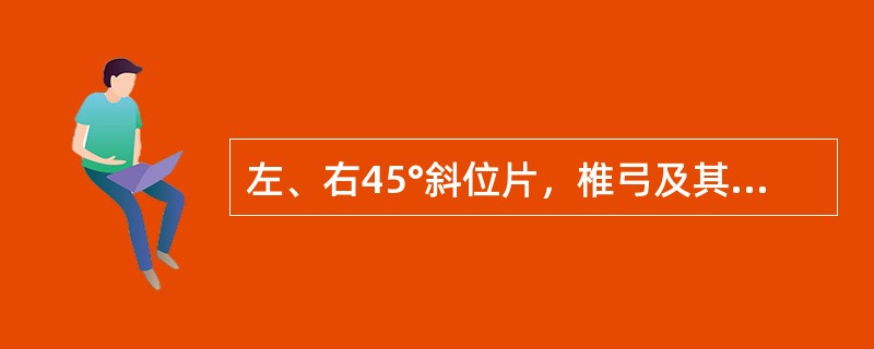 左、右45°斜位片，椎弓及其附件投影似“狗”形，峡部裂时似狗颈戴项链，椎弓根断面为（　）。