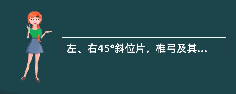 左、右45°斜位片，椎弓及其附件投影似“狗”形，峡部裂时似狗颈戴项链，同侧横突为（　）。