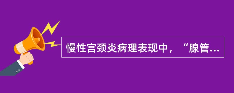 慢性宫颈炎病理表现中，“腺管口阻塞、分泌物潴留、形成囊肿”属于（　）。