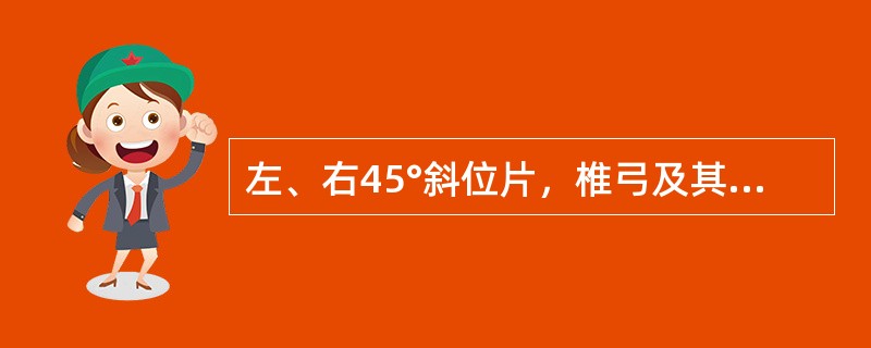 左、右45°斜位片，椎弓及其附件投影似“狗”形，峡部裂时似狗颈戴项链，下关节突为（　）。