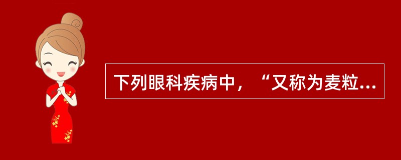 下列眼科疾病中，“又称为麦粒肿，睑缘疖”属于（　）。