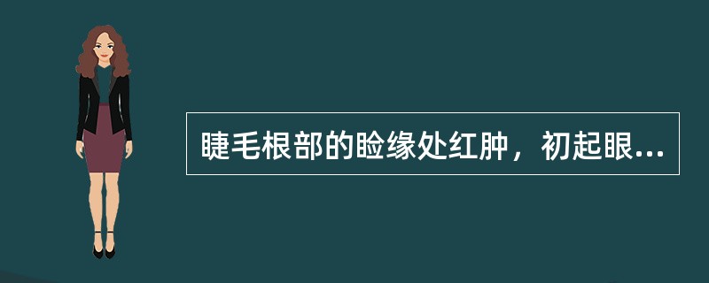 睫毛根部的睑缘处红肿，初起眼睑红肿范围较弥散，剧烈疼痛，有硬结，压痛明显，同侧耳前淋巴结也可肿大。此种情况可见于（　）。