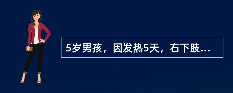 5岁男孩，因发热5天，右下肢弛缓瘫痪2天就诊，查体：神志清，颅神经查体未见明显异常，右下肢肌张力低下，反射未引出，感觉正常。脑脊液压力稍高，无色透明，细胞数50×106／L，糖3.2mmol／L，蛋白