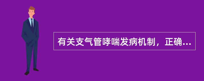 有关支气管哮喘发病机制，正确的是（　）。