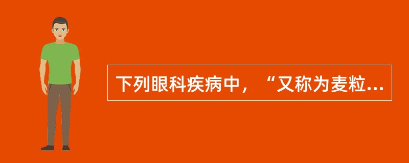 下列眼科疾病中，“又称为麦粒肿，睑缘疖”属于（　）。