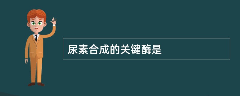 尿素合成的关键酶是