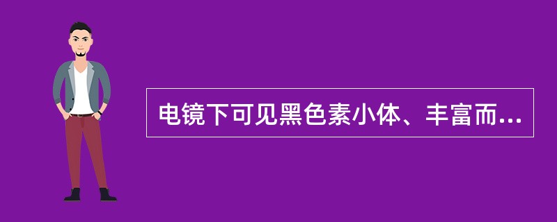 电镜下可见黑色素小体、丰富而细长的微绒毛，诊断是（）