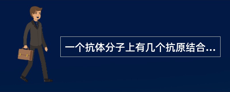 一个抗体分子上有几个抗原结合位点（）