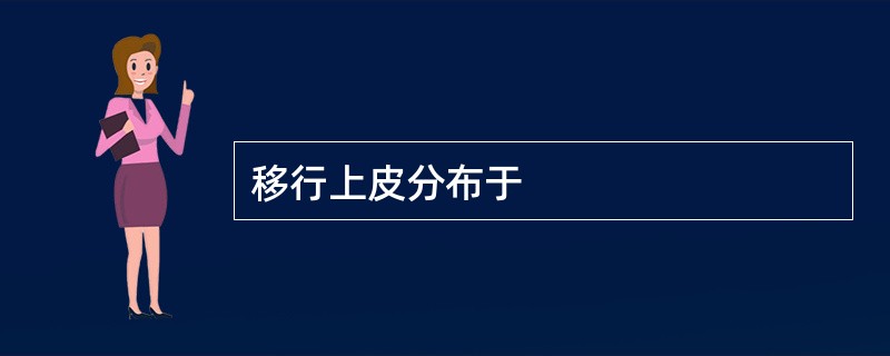 移行上皮分布于