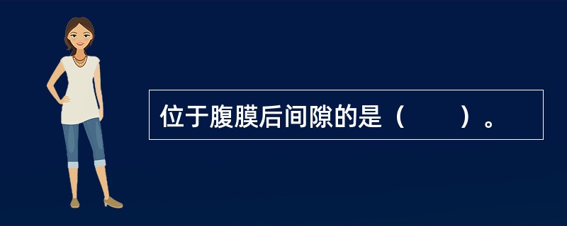 位于腹膜后间隙的是（　　）。