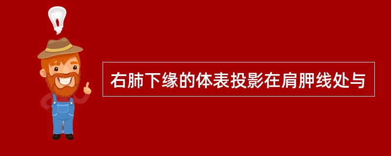 右肺下缘的体表投影在肩胛线处与