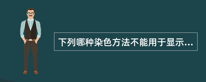 下列哪种染色方法不能用于显示神经内分泌细胞？（　　）