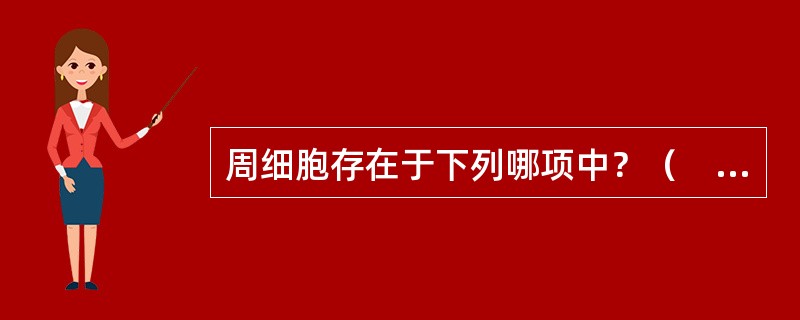 周细胞存在于下列哪项中？（　　）