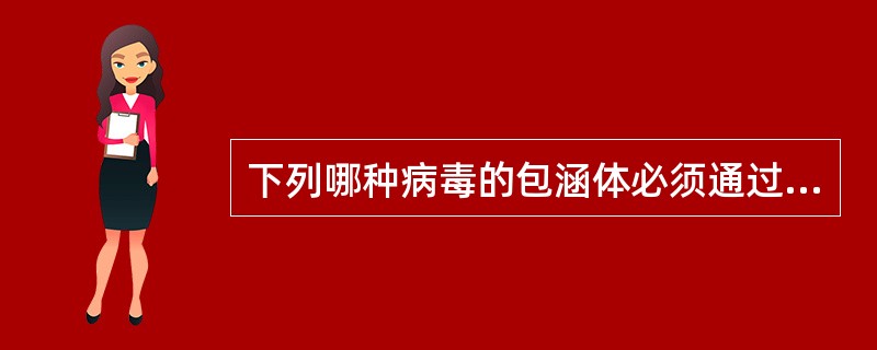 下列哪种病毒的包涵体必须通过Macchiavello包涵体染色才能看到？()