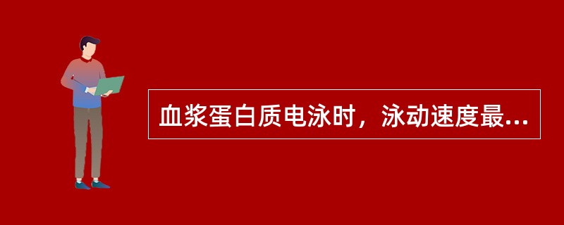 血浆蛋白质电泳时，泳动速度最快的是