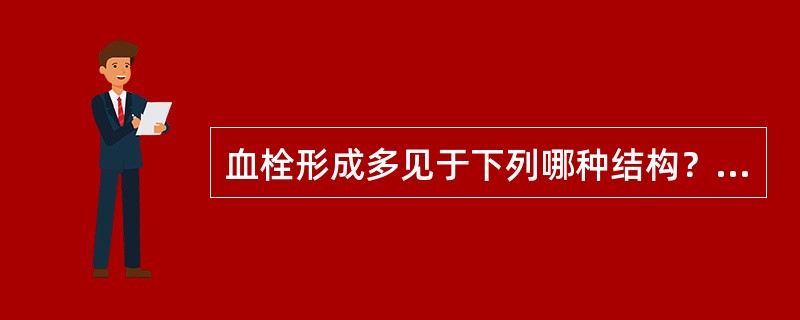 血栓形成多见于下列哪种结构？（　　）