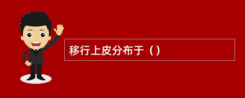 移行上皮分布于（）