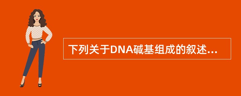 下列关于DNA碱基组成的叙述，正确的是（　　）。