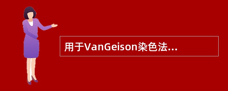 用于VanGeison染色法的染料是（）