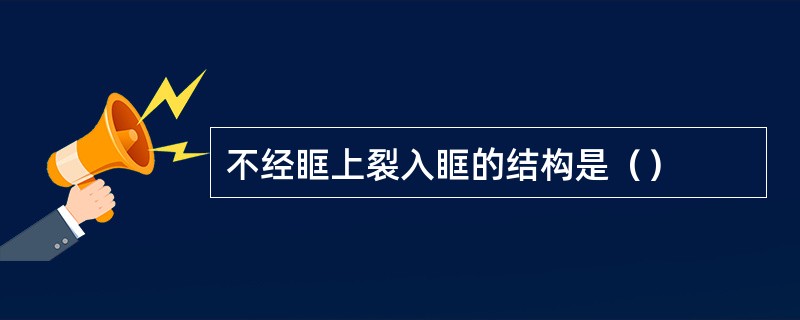 不经眶上裂入眶的结构是（）