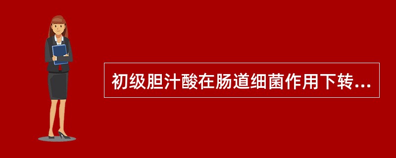 初级胆汁酸在肠道细菌作用下转变为次级胆汁酸的主要反应是（）
