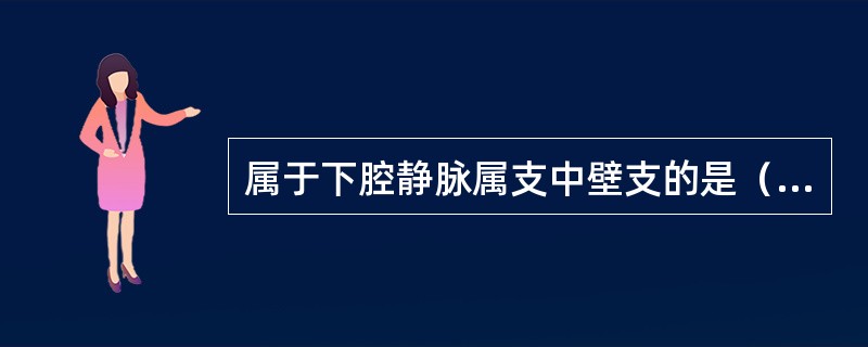 属于下腔静脉属支中壁支的是（　　）。