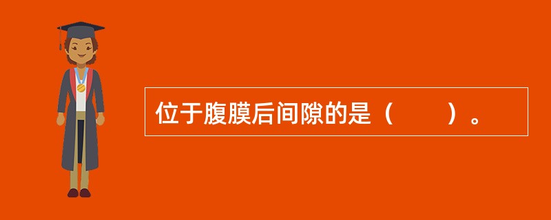 位于腹膜后间隙的是（　　）。
