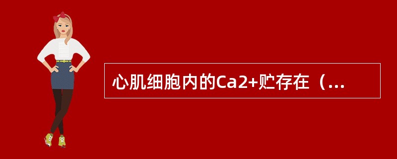 心肌细胞内的Ca2+贮存在（　　）。