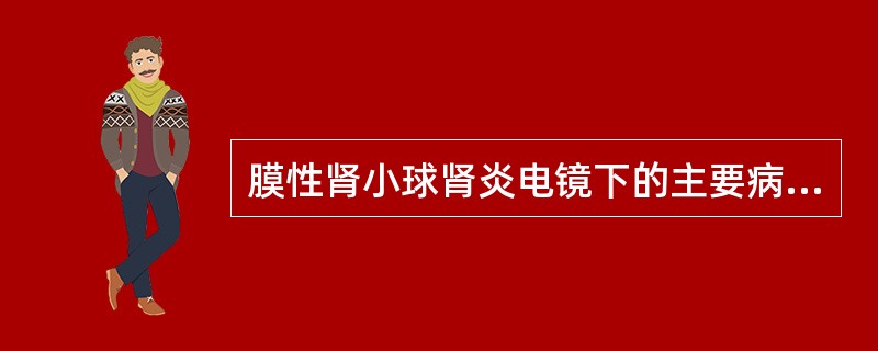 膜性肾小球肾炎电镜下的主要病理变化包括（　　）。