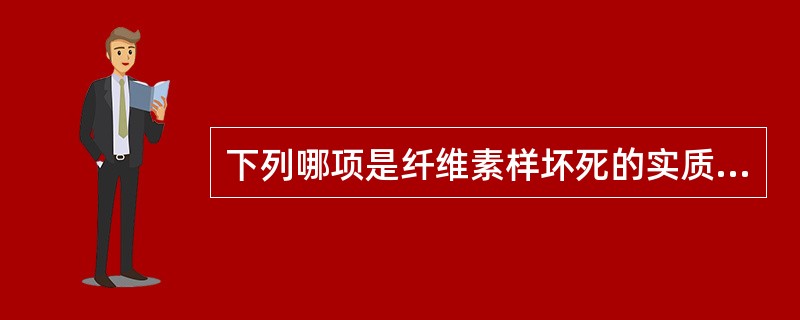 下列哪项是纤维素样坏死的实质？（　　）