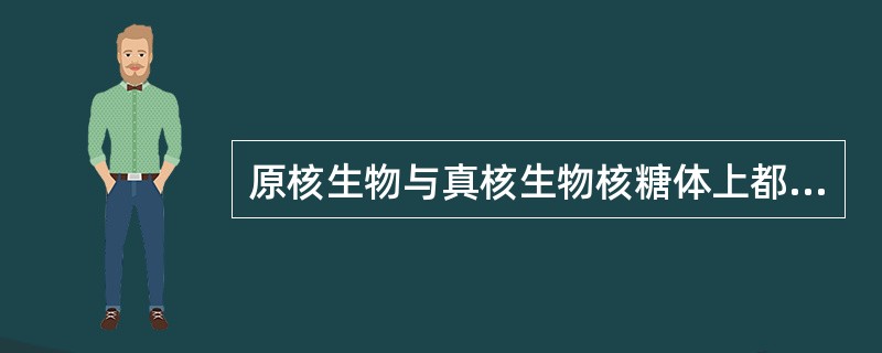 原核生物与真核生物核糖体上都有的rRNA是（　　）。