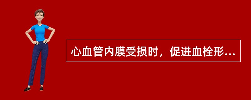 心血管内膜受损时，促进血栓形成的因素除外（　　）。