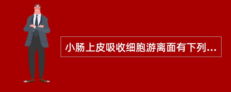 小肠上皮吸收细胞游离面有下列哪种结构？（　　）