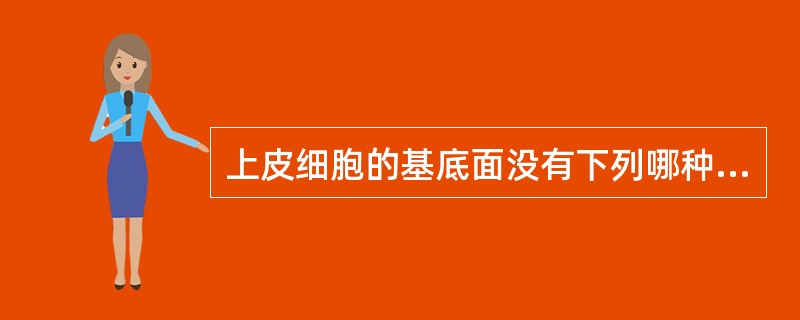 上皮细胞的基底面没有下列哪种结构？（　　）