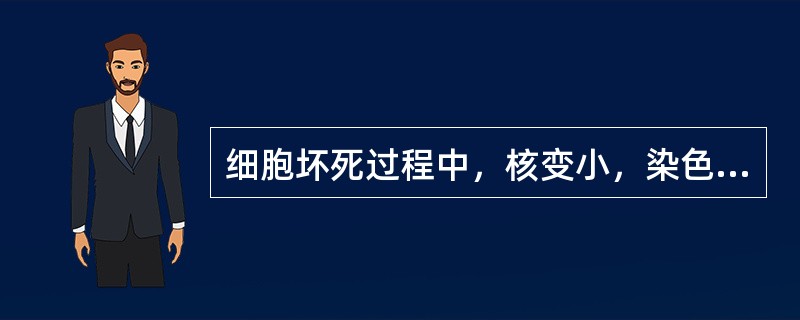 细胞坏死过程中，核变小，染色质浓染标志为（）