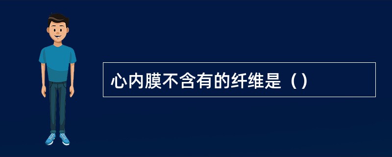 心内膜不含有的纤维是（）