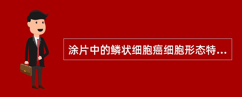 涂片中的鳞状细胞癌细胞形态特点是（）