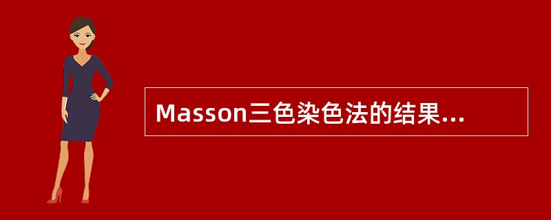 Masson三色染色法的结果哪项正确？（　　）