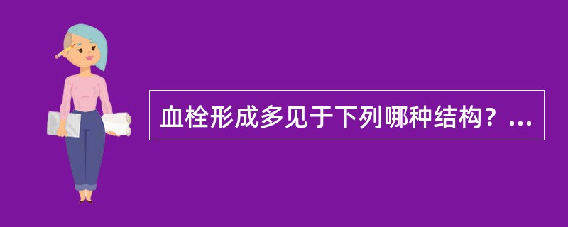 血栓形成多见于下列哪种结构？（　　）