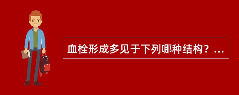 血栓形成多见于下列哪种结构？（　　）