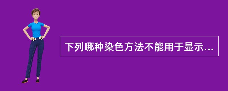 下列哪种染色方法不能用于显示神经内分泌细胞？（　　）