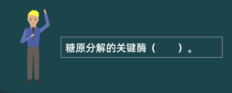 糖原分解的关键酶（　　）。