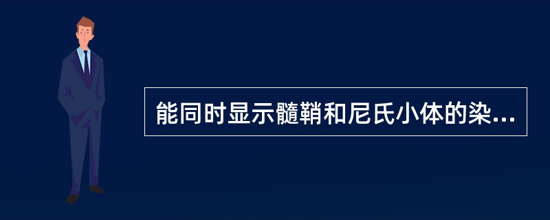 能同时显示髓鞘和尼氏小体的染色方法是（　　）。