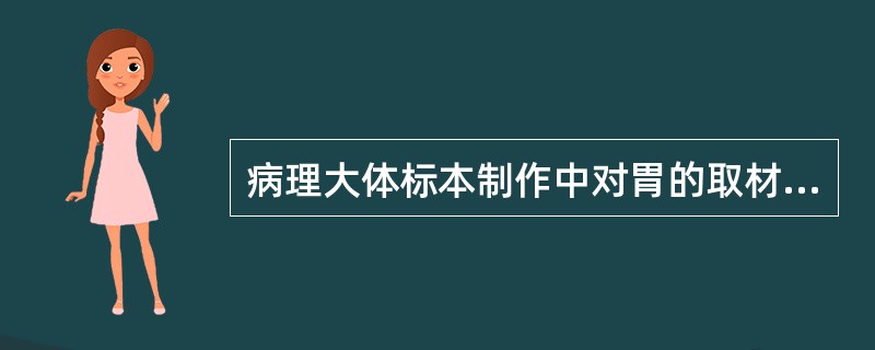 病理大体标本制作中对胃的取材，错误的是（　　）。